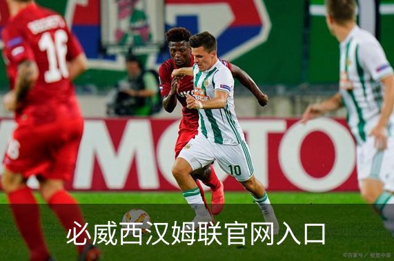 了解必威西汉姆联官网入口